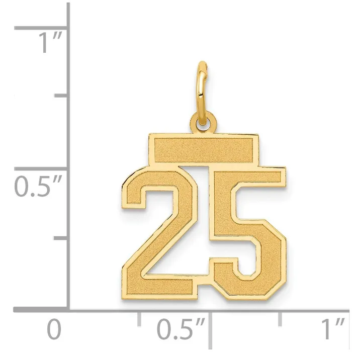 14k Small Satin Number 25 Charm TreasureFineJewelers Charm Necklaces